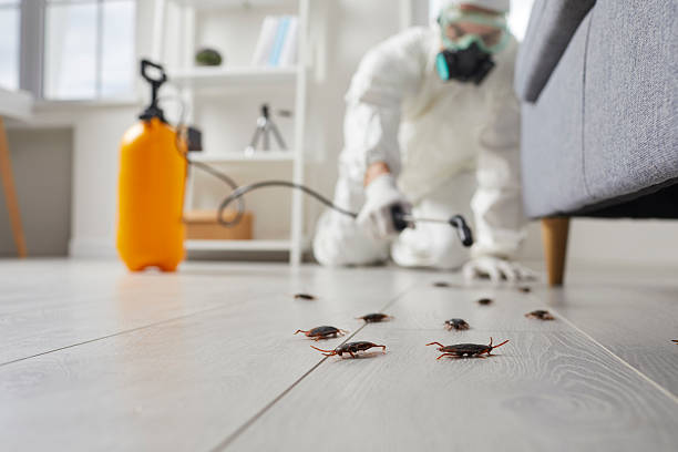 Post-Treatment Bed Bug Interceptor Monitoring in Schenectady